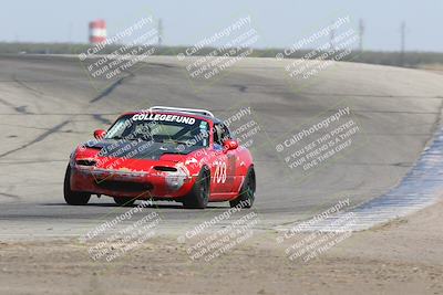 media/Sep-28-2024-24 Hours of Lemons (Sat) [[a8d5ec1683]]/1140am (Outside Grapevine)/